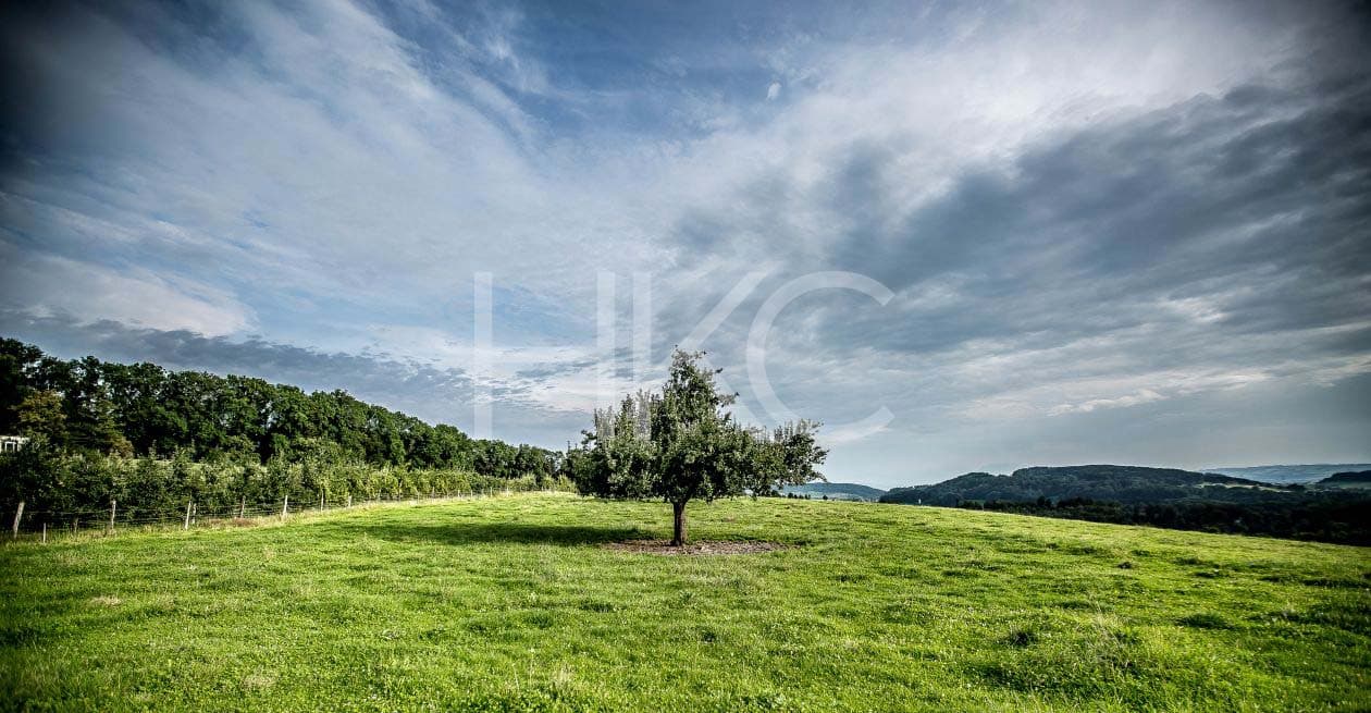 Photography from Hari Kiran - image 2